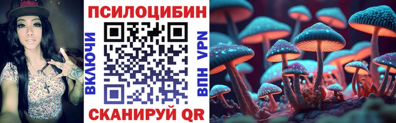 блэк спрут сайт  магазин продажи   Барабинск  Псилоцибиновые грибы Psilocybine cubensis 